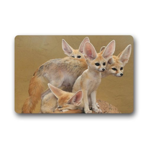 RYLABLUE Fennec Fox Doormat Floor Mats Rugs Outdoors/Indoor Doormat Size 23.6x15.7 inches