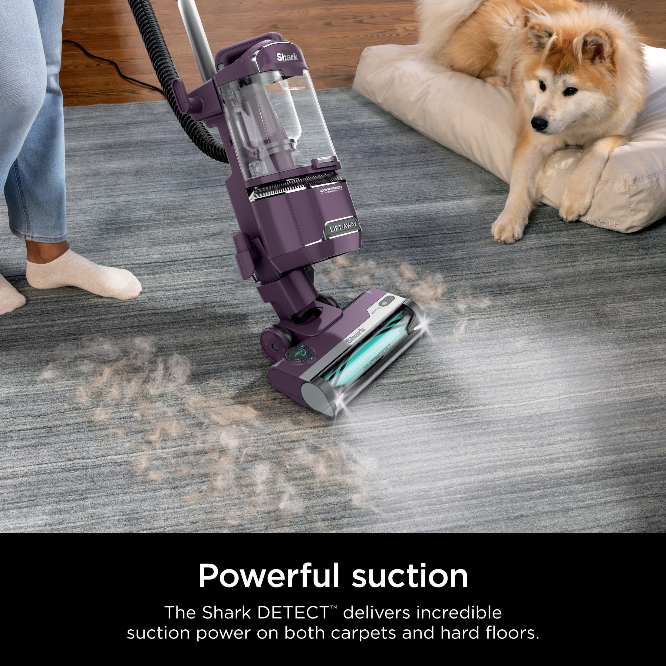 Shark Detect Lift-Away ADV Upright Vacuum, Pet Friendly, Floor Detect, Direction Detect, PowerFins Self-Cleaning Brushroll, LA490 Mauve