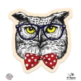 thumbnail image 1 of Owl Hipster - 3" Vinyl Sticker - For Car Laptop I-Pad Phone Helmet Hard Hat - Waterproof Decal, 1 of 1