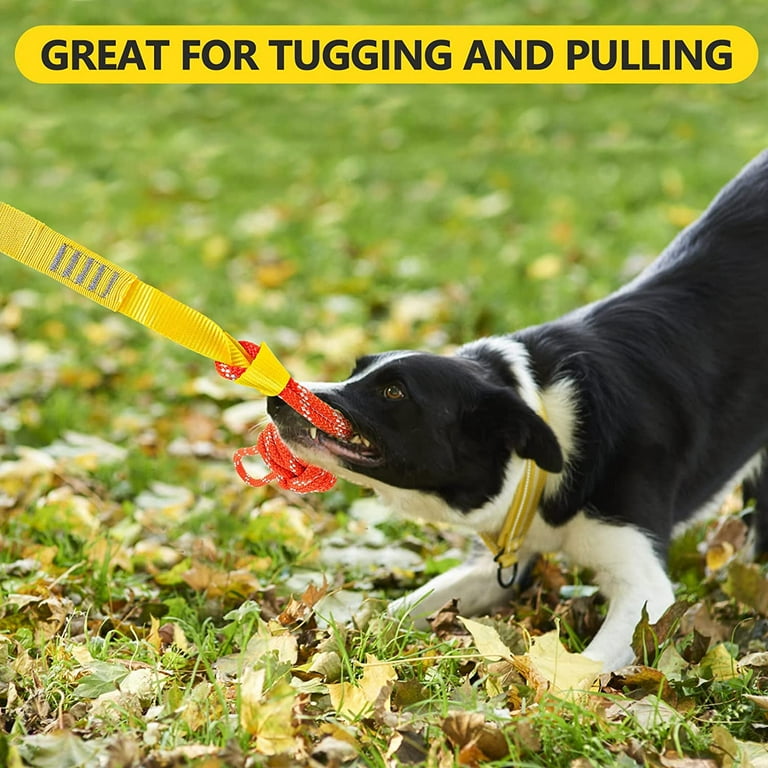 Dog Rope Toy with a Big Spring Pole, Strong Retractable Outdoor
