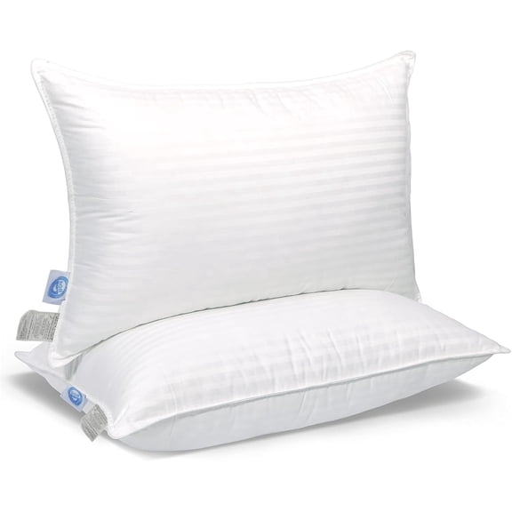 East Coast Bedding Goose Down Feather Pillows Medium Support 100% Cotton 300TC Pack of 2, Queen Size 20x30 Inch