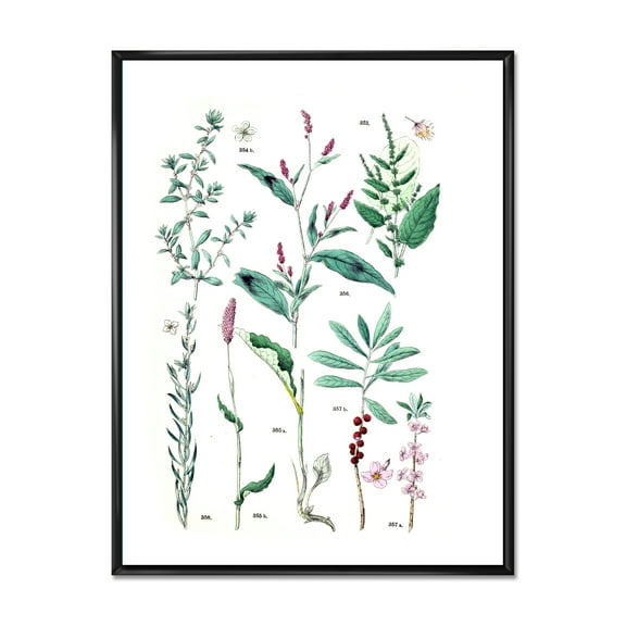 Designart 'Ancient Plants' Traditional Framed Canvas Wall Art Print