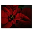 thumbnail image 2 of Trademark Fine Art "Poinsettia" Canvas Wall Art by Lois Bryan, 2 of 3