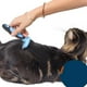 thumbnail image 5 of Inicio Mascota Cachorro Gatito Cortador de Pelo Afeitadora Recortadora Mascotas Peine de Aseo Nudo ; Azul - L, 5 of 9