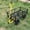 Black/Yellow, variant on 37" Garden Cart, Practical Metal Tool Cart with Removable Mesh Sides, 4 Solid Wheels, Rotating Handle, Flatbed Cart for Garden, Farm, Yard, Black/Yellow