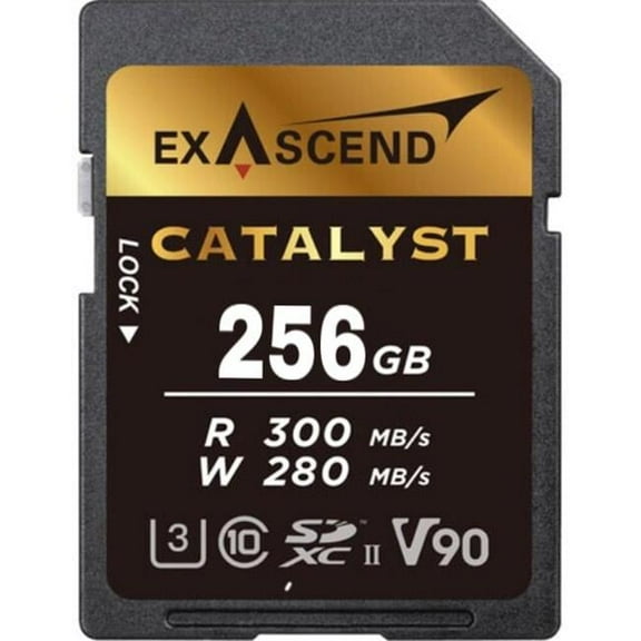 256GB UHS-I V30 SD Catalyst Memory Card