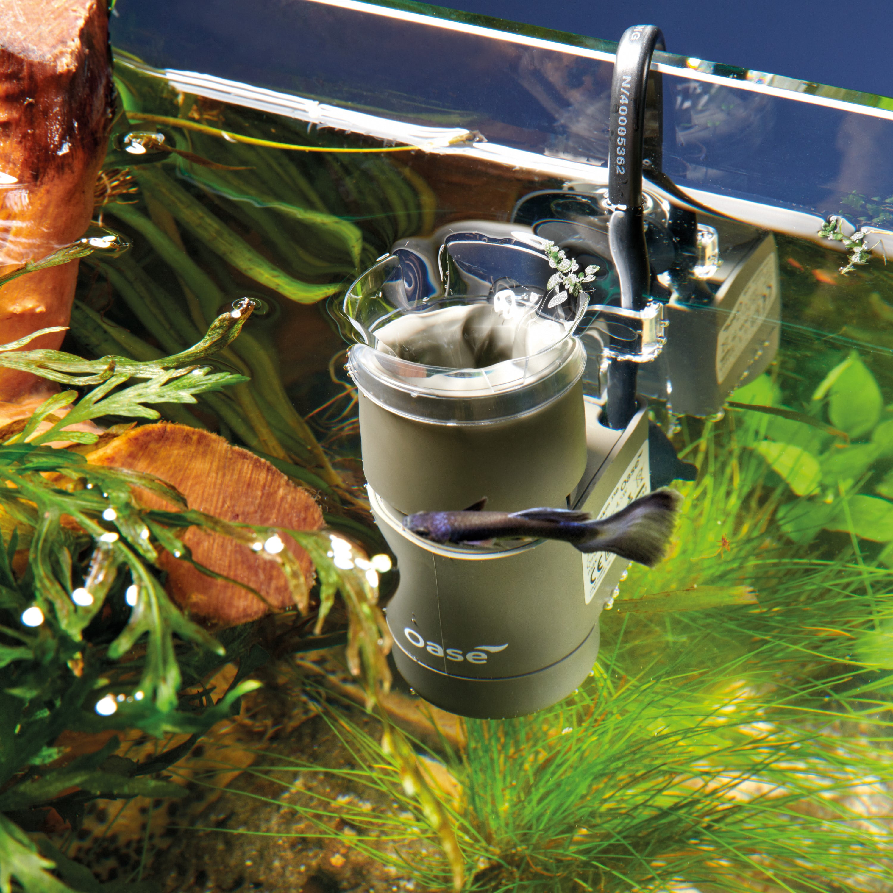 OASE CrystalSkim 350 - Grey Aquarium Surface Skimmer - Walmart.com