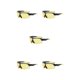 thumbnail image 2 of Jumpingount Gafas de sol de moda y portátiles para entusiastas de los deportes y actividades al aire libre Hombres Duradero Impermeable A prueba Type2 NO2, 2 of 6