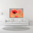 thumbnail image 2 of 27" x 18" Poppy Dream by Roeselien Raimond Wall Art Print on Canvas Fabric White, 2 of 3