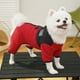 thumbnail image 1 of Conjunto de invierno de forro polar para perros y gatos, ropa cálida para mascotas de cuatro patas con orificio para correa, 1 unidad, talla M, rojo Rkxzt, 1 of 7