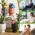 thumbnail image 4 of 4 Pack Terracotta Watering Spikes, Vacation Self-Watering Planters Devices, Continuous Moisture with Slow Release Watering System Mushroom Shape, 4 of 7