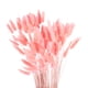 thumbnail image 1 of Uxcell 120 piezas de colas de conejo naturales, flores secas, 18" mini hierba de pampas Lagurus Ovatus, ramo para decoración floral de bodas, rosa, 1 of 6