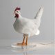 thumbnail image 3 of Chicken Led Lamp Egg Night Lamp Taxidermy Egg Desk Lamp, 3 of 5