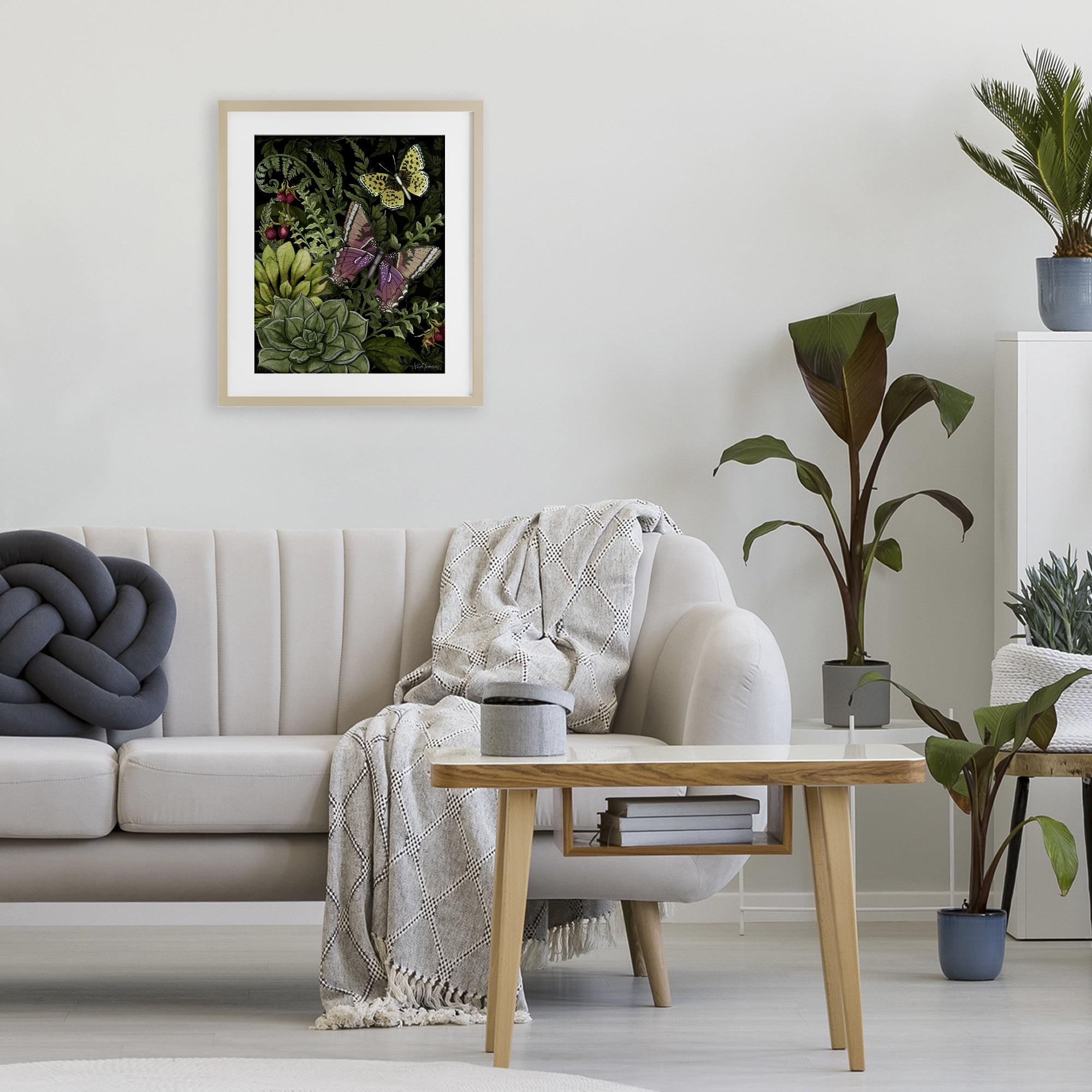 Stupell Industries Dark Succulents Midnight Garden Birch Framed Print Under Glass, design by Nicole Tamarin