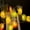 Tricolor, variant on 20LED Orange Lime Lemon Slices Fruit Lights Lantern Fairy String Light Battery Operated Indoor Outdoor Lighting for Garden Wedding Bedroom Home Birthday Party Christmas Decoration