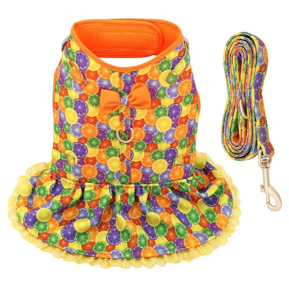 Didog Female Dog Harness Dress and Leash Fancy Small Pet Cat Summer Vest Clothes Yorkie