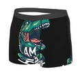 thumbnail image 2 of Junzan Hungry Tyrannosaurus Mens Underwear Boxer Briefs For Men’s - Xx-Large, 2 of 9
