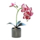 thumbnail image 5 of Yuarrent Flor de orquídea artificial Bonsai Potted Phalaenopsis Home Office Plant Rosa roja 2Conjunto, 5 of 6