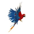 thumbnail image 4 of Adorno de árbol de decoración para jardín y hogar con plumas de pájaro artificial pequeño, 4 tipos 15.7 pulgadas rojo y azul, 4 of 8