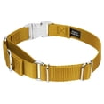 thumbnail image 4 of Country Brook Petz® Gold Heavyduty Nylon Martingale with Premium Buckle, Extra Small, 4 of 6