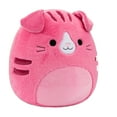 thumbnail image 5 of Squishmallows FuzzAMallow Official 5 inch Geraldine the Pink Scottish Fold Cat - Child's Ultra Soft Plush Toy, 5 of 6