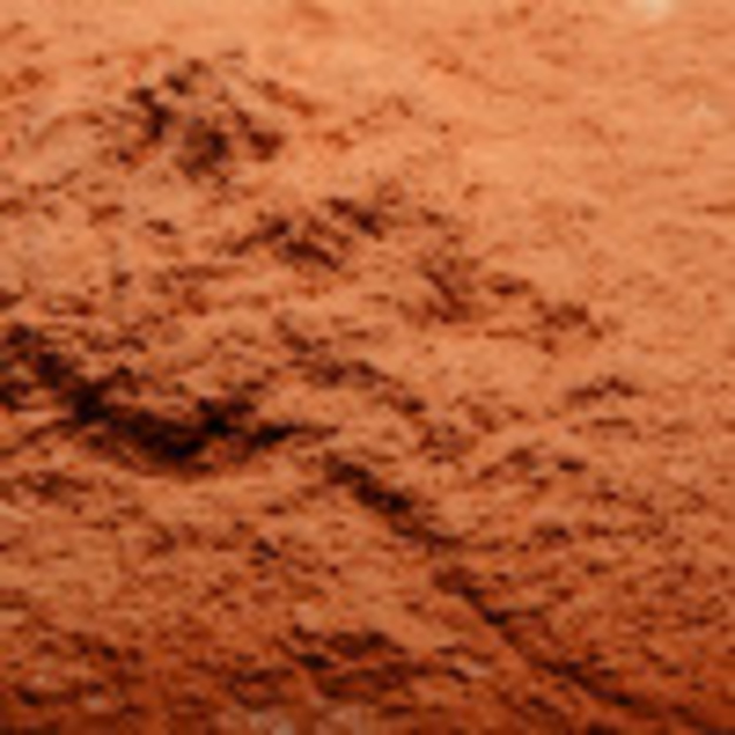 (2 pack) Black Radiance True Complexion Loose Setting Powder - Makeup Finishing Powder - Cocoa Kisses