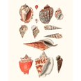 thumbnail image 2 of Vision Studio  15x18 White Modern Wood Framed Museum Art Print Titled - Shell Collection IV, 2 of 4