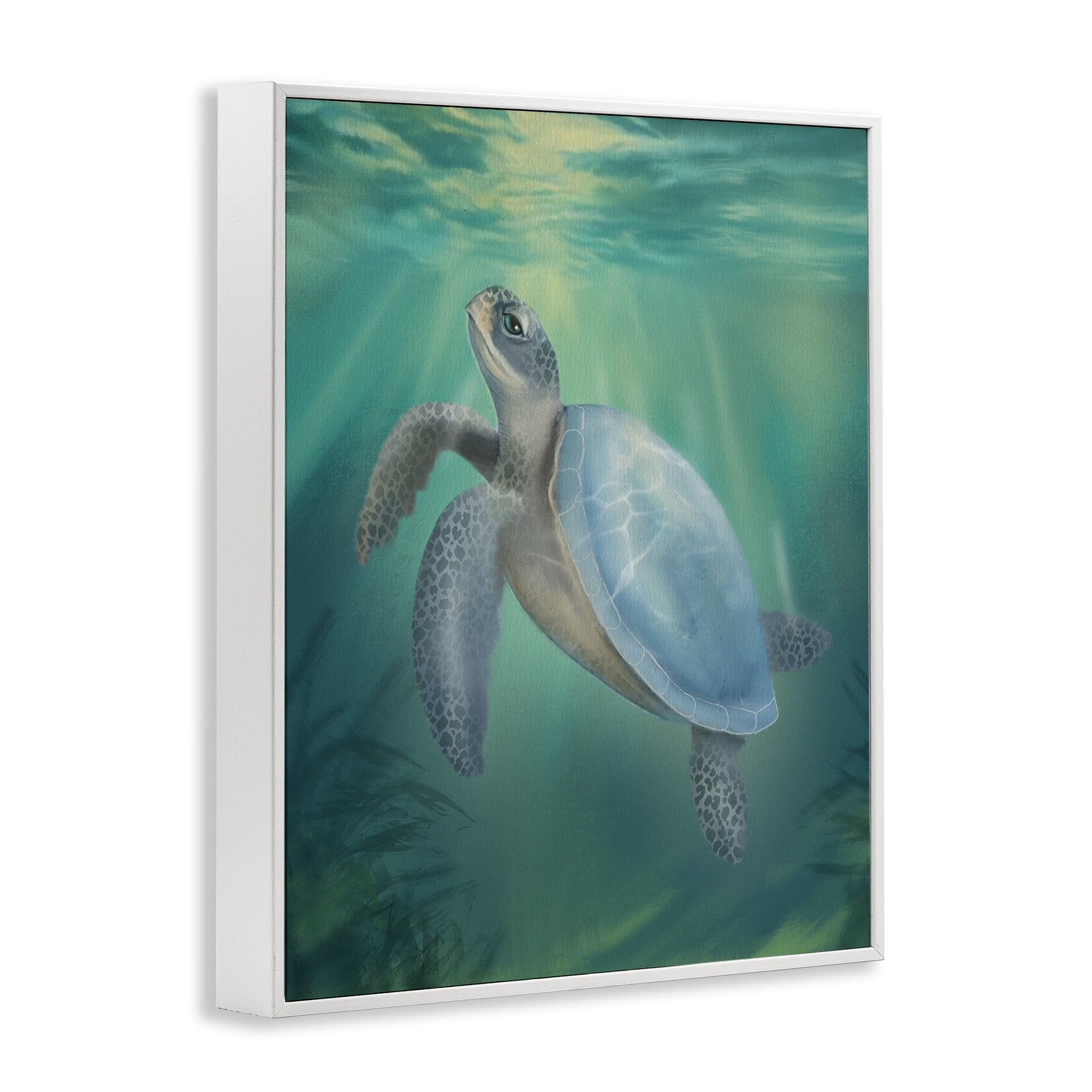 Stupell Industries Coastal Beach Sea Turtle White Framed Giclee Art, design by Matthew Piotrowicz