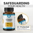 thumbnail image 5 of TrueMed Moringa & Turmeric Curcumin Supplement with BioPerine, 1100 mg, 95% Curcuminoids, 120 Vegan Capsules for Daily Wellness, Joint & Digestive Support, 5 of 10