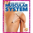 thumbnail image 1 of Pre-Owned Muscular System (Pogo Books: Amazing Body Systems), 9781620315590, 1620315599, Paperback,, 1 of 1