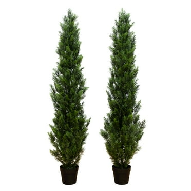 Nearly Natural 6ft. Artificial Topiary Cedar Tree UV Resistant (Indoor/Outdoor) - Set of 2