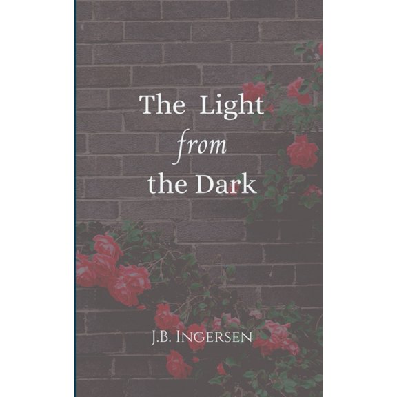 The Light From the Dark, (Paperback)