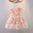 thumbnail image 3 of 2026 Infant Baby Girl Sundress Mint Leaf Collar Sleeveless Floral Printed Dress with Cute Bag Infant Summer Outfit Holiday Daily Wear, 3 of 5