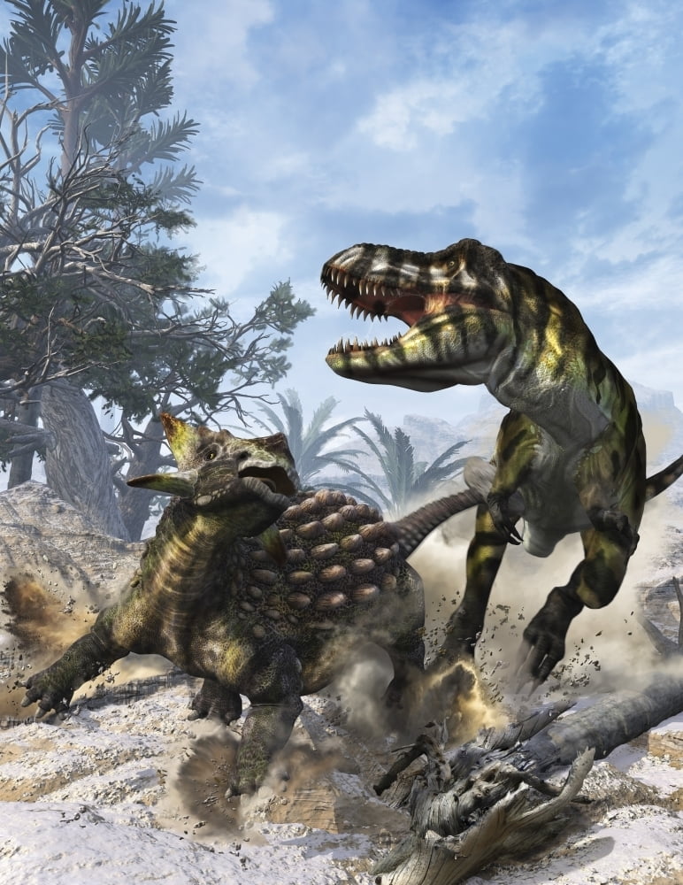 Ankylosaurus hits Tyrannosaurus rex with it's clubbed tail in self-defense Poster Print (24 x 32