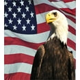 thumbnail image 3 of Eagle Duvet Cover Set Queen Size, United States of America Flag with Symbol of the Country Looking into the Horizon, Decorative 3 Piece Bedding Set with 2 Pillow Shams, Multicolor, by Ambesonne, 3 of 3