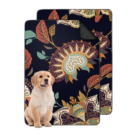 Washable Pet Pee Pads 24 x35 Reusable Non-Slip Potty Training Pad for Dog Kennels & Floors (Paisley)