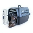 thumbnail image 3 of Petmate Pet Porter Traditional Travel Dog Kennel Portable Pet Carrier, Small 24" for Dogs 15-20 lb, Gray, 3 of 10