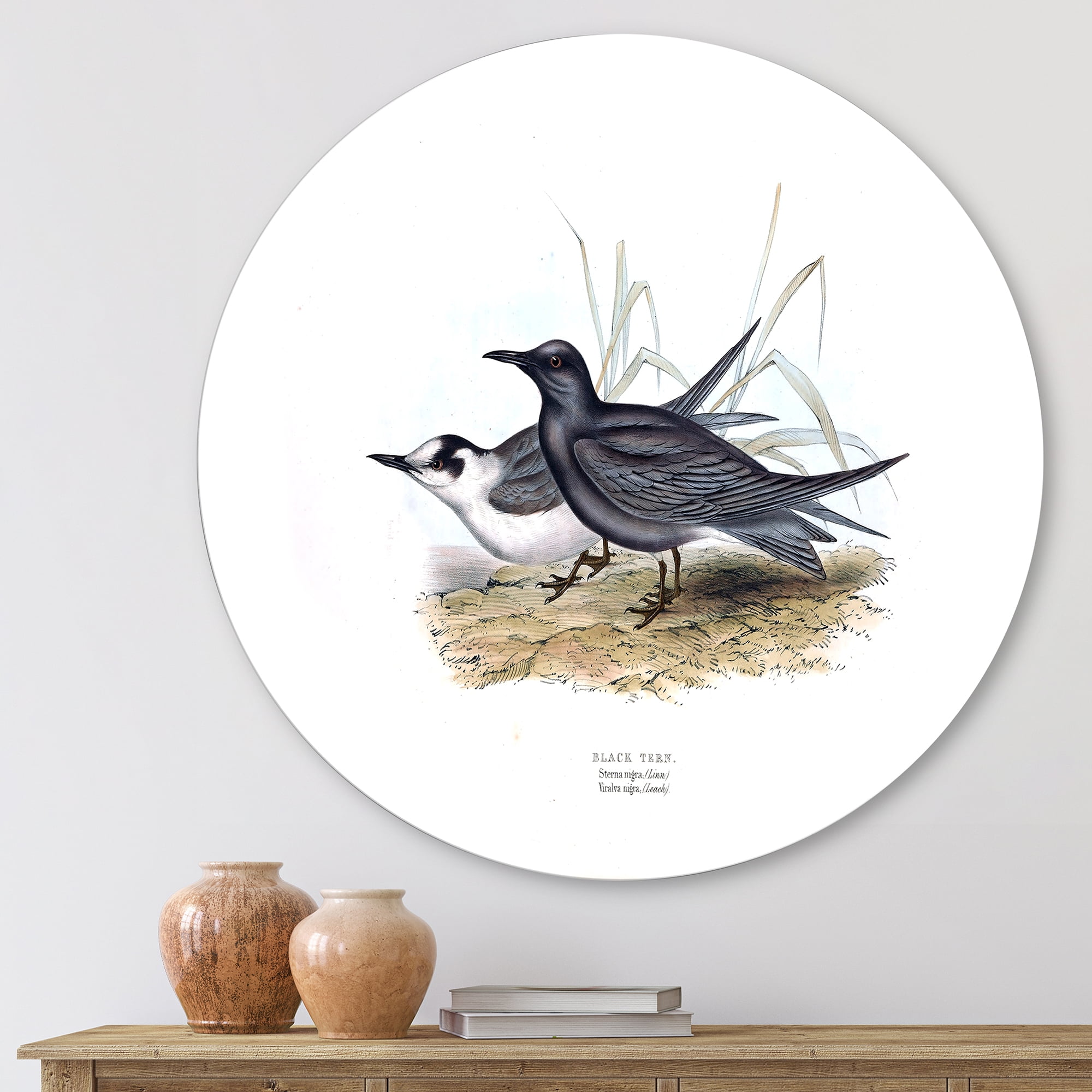 Designart 'Ancient Bird Of Europe II' Traditional Circle Metal Wall Art 23x23 - Disc of 23