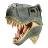 What On Earth T-Rex Tyrannosaures Rex Wall Mounted Sculpture - 3D Lifelike Look for Kids Rooms and Fun Spaces