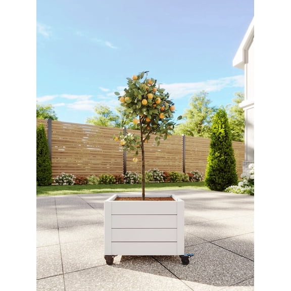 Classic 22" L x 18" W x 18" H Vinyl Planter with Wheels, White