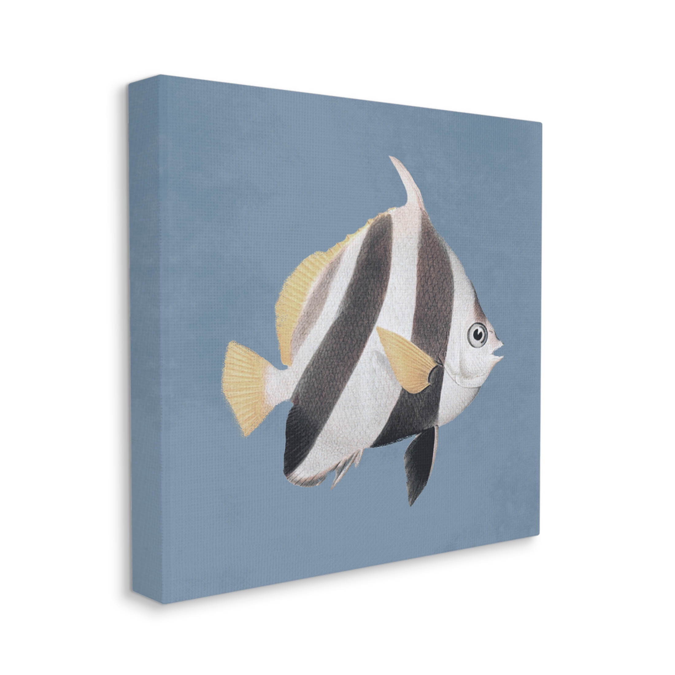 Striped Fish Marine Life Portrait Animals & Insects Graphic Art Gallery Wrapped Canvas Print Wall Art