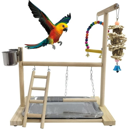Cockatiel play gym hotsell