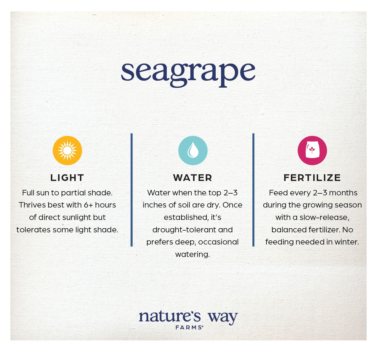Nature’s Way Farms Seagrape Outdoor Live Plant (25-30in Tall) in Grower Pot