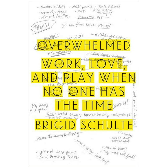 Overwhelmed: Work, Love, and Play When No One Has the Time