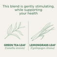 thumbnail image 2 of Traditional Medicinals Organic Green Tea, Mildly Invigorating, 16, Lemongrass, 96 Count (Pack of 6), 2 of 9