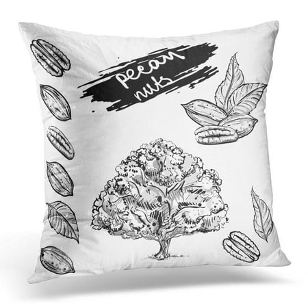 - ECCOT Black Collection Gray Scale of Pecan Nuts Leaf Tree Sketch 8 Drawing Pillowcase Pillow Cover Cushion Case 16x16 inch