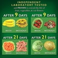 thumbnail image 5 of Vegetable Storage Bags Keep Fruits Vegetables And Cut Flowers Fresher Longer, 5 of 5