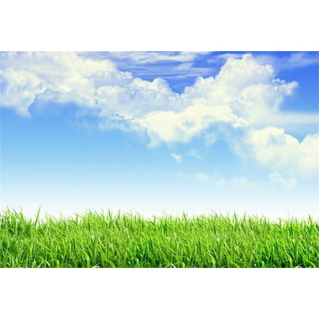 Image of HelloDecor 7x5ft Blue Sky And Spring Meadow Backdrop Green Grass Lawn Photography Background Outdoor Nature Scenery Lovers Kid Baby Adult Boy Girl Artistic Portrait Sports Photo Studio Props