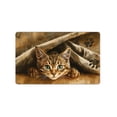 thumbnail image 5 of JML Non-Slip Microfiber & Rubber Doormat - Soft Entryway Rug for Home/Office (20"x32") - Easy Clean Door Mat for Indoor/Outdoor Use, Cat, 5 of 5