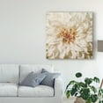 thumbnail image 3 of Trademark Fine Art 'Wall Flower VIII' Canvas Art by Alonzo Saunders, 3 of 4